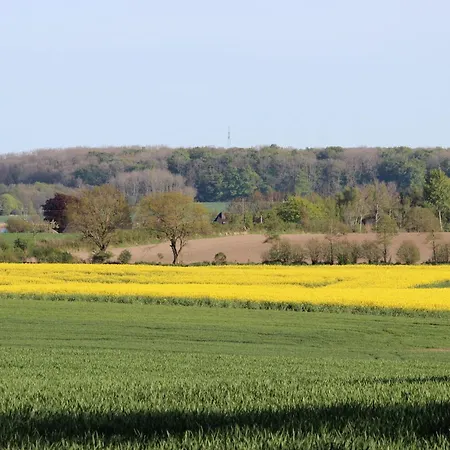 La Casa Strandlaeufer Appartement *