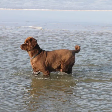 La Casa Strandlaeufer * Steinberg (Schleswig-Holstein)